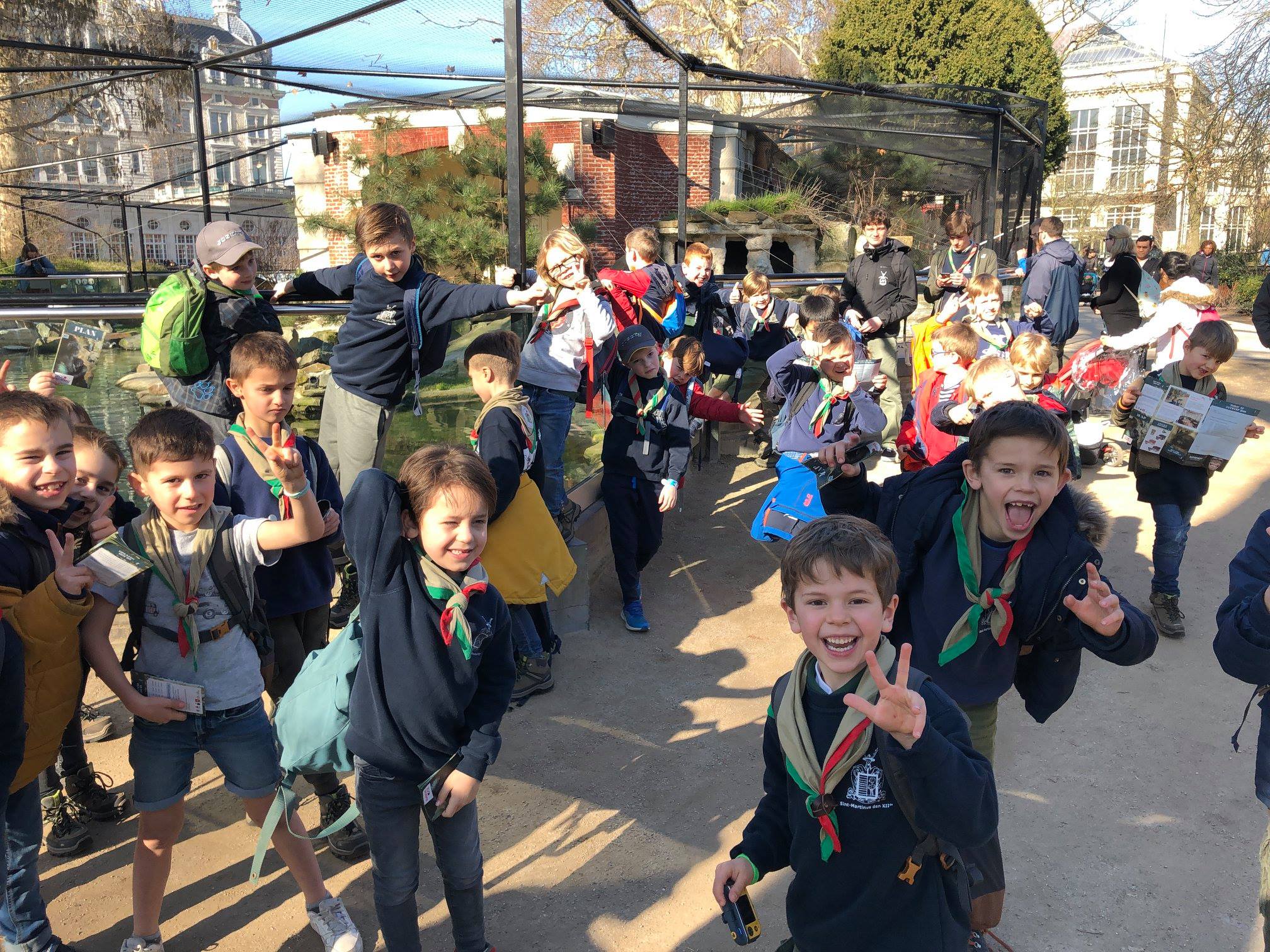 Sint-Martinus den XIIde - Zoo Antwerpen Kapoenen